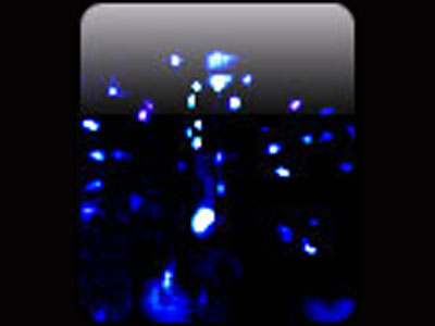 Фейерверк, эффект 00324_01