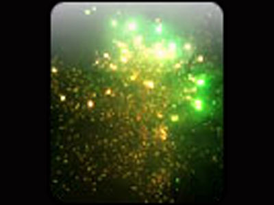 Фейерверк, эффект 40913_07