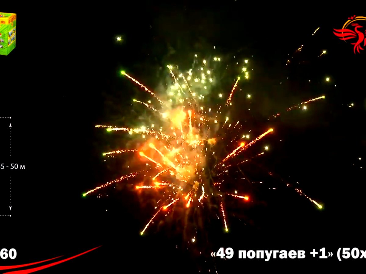 Крупный фейерверк 49 попугаев+1