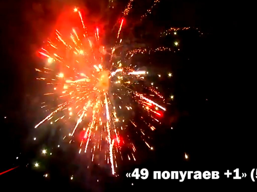 Крупный фейерверк 49 попугаев+1
