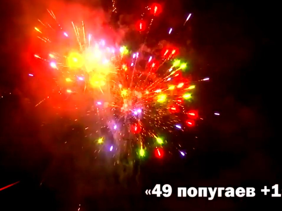Крупный фейерверк 49 попугаев+1
