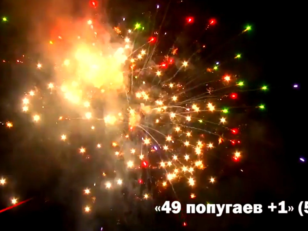 Крупный фейерверк 49 попугаев+1