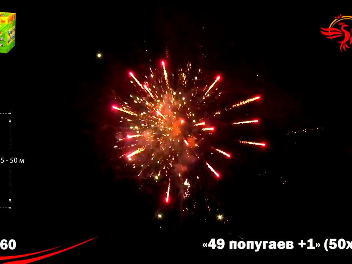 Крупный фейерверк 49 попугаев+1