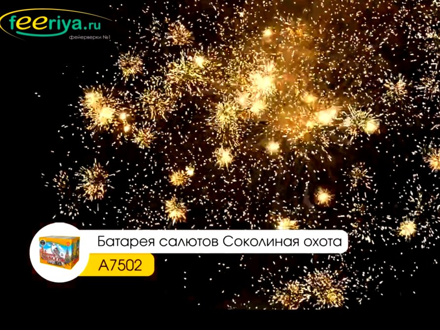 Крупный фейерверк Соколиная охота