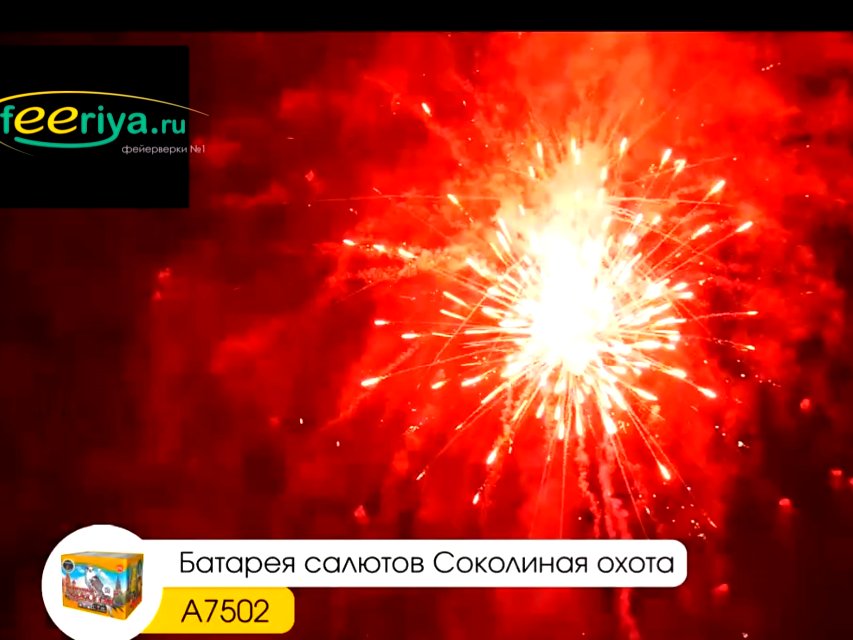 Крупный фейерверк Соколиная охота