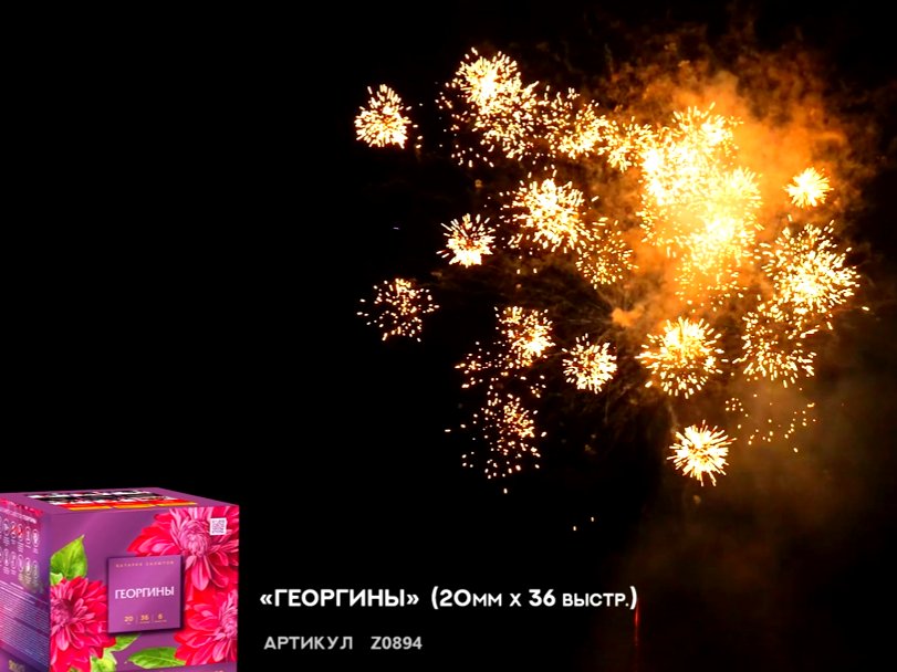 Средний фейерверк Георгины