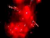 Фейерверк, эффект 40418_03