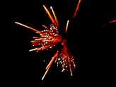 Фейерверк, эффект 40422_01