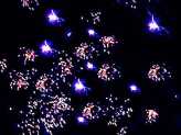 Фейерверк, эффект 40991_04