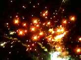 Фейерверк, эффект 41662_04