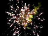 Фейерверк, эффект 42170_04