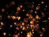 Фейерверк, эффект 42606_04