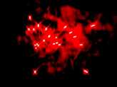 Фейерверк, эффект 42609_02