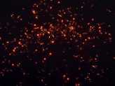 Фейерверк, эффект 47085_02