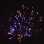 Фейерверк, эффект 40503_04