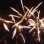 Фейерверк, эффект 40651_05