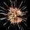Фейерверк, эффект 40991_05