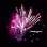 Фейерверк, эффект 41375_06