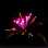 Фейерверк, эффект 41654_01