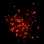 Фейерверк, эффект 44794_01