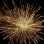 Фейерверк, эффект 47476_02