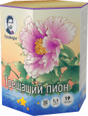 Трещащий пион