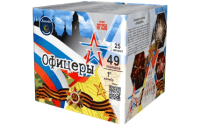 Офицеры