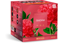 Пионы