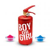 Гендерпати «Баллон "Огнетушитель для Гендер Пати" красный с Розовым дымом (2 литра)»