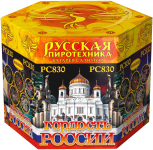 Крупный фейерверк «Гордость России»