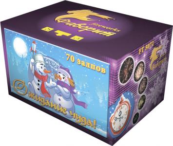 Крупный фейерверк «Ожидание чуда!»