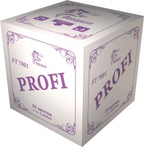 Супер фейерверк «Профи 25»