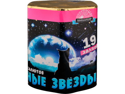 Средний фейерверк «Ночные звезды»