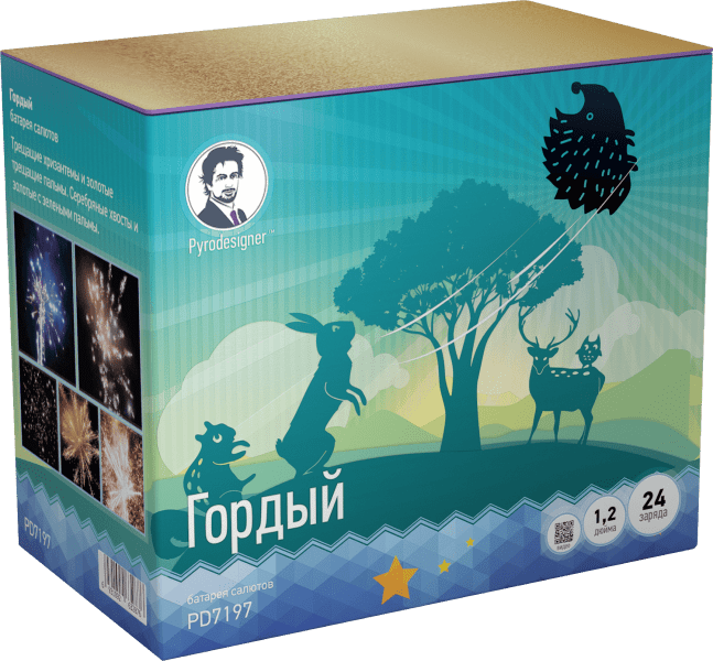 Средний фейерверк «Гордый»